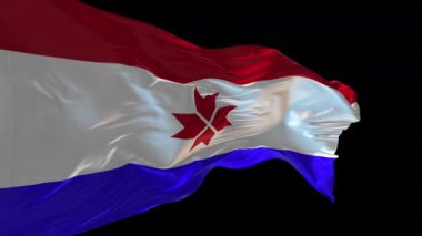 Rüzgarda dalgalanan Mordovia bayrağının 3 boyutlu animasyonu. Alfa kanalı mevcut..