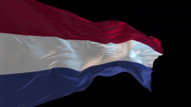 Hollanda bayrağının rüzgarda dalgalanan 3D animasyonu. Alfa kanalı mevcut..