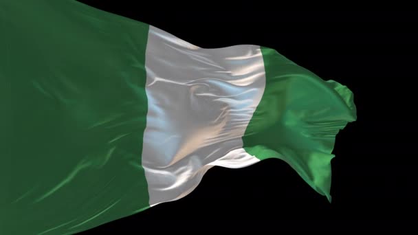 Rüzgarda Sallanan Nijerya Bayrağının Animasyonu Alfa Kanalı Mevcut — Stok video