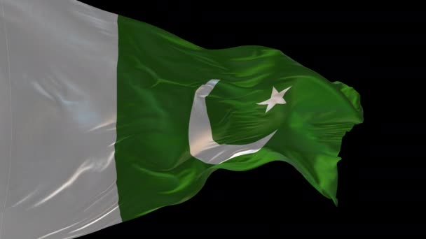 Animation Der Pakistanischen Nationalflagge Die Wind Weht Der Alpha Kanal — Stockvideo