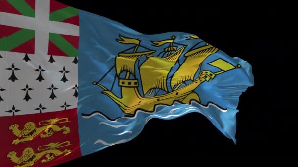 Animacja Flagi Narodowej Saint Pierre Miquelon Machających Wietrze Kanał Alfa — Wideo stockowe
