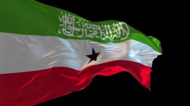 Somaliland 'ın rüzgarda dalgalanan ulusal bayrağının 3D animasyonu. Alfa kanalı mevcut..