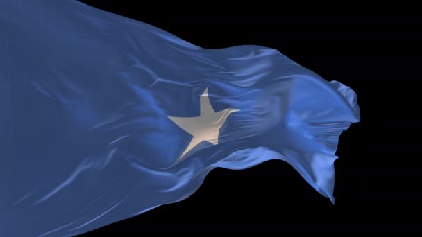 Animacja Narodowej Flagi Somalii Machającej Wietrze Kanał Alfa Jest Obecny — Wideo stockowe