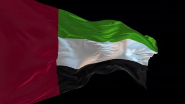 Birleşik Arap Emirlikleri 'nin rüzgarda dalgalanan ulusal bayrağının 3D animasyonu. Alfa kanalı mevcut..