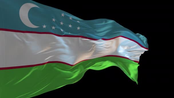 風を振るウズベキスタンの国旗の3Dアニメーション アルファチャンネルが存在する — ストック動画