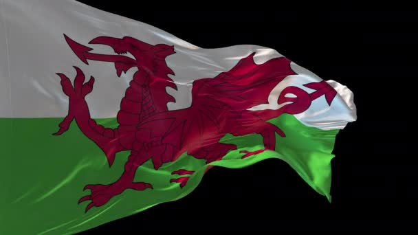 Animation Wales Nationella Flagga Viftande Vinden Alfakanalen Närvarande — Stockvideo