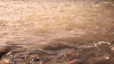 Yağmur sırasında nehrin çamurlu dalgaları. Bulutlu bahar günü