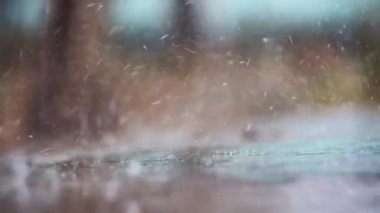 Bir bahar bahçesinin arka planına düşen damlaların ve yağmur akıntılarının yakın çekimi. Bulutlu yağmurlu gün.