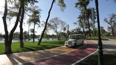 Şehir gölü kıyısında bir yürüyüş. Ağaçların arasında. Turist aracını geçince. Güneşli bir yaz günü. Yavaş Hareket