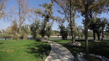 Şehir gölünün kıyısındaki ağaçlar arasında yol boyunca yürü. Güneşli bir yaz günü. Yavaş Hareket