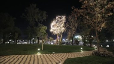 Gece parkında gölün kıyısındaki aydınlatılmış ağaçlarla yürüyün. Bulutsuz Yaz Gecesi