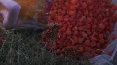 Çiçeklerden, yapraklardan ve dikenlerden oluşan güz tasarımcı kıyafetli genç bir kadın dağınık elmaların arasında çimlerin üzerinde yatıyor. Yavaş Hareket, Kapat.