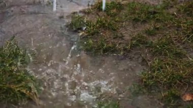 Yağmur çamur ve yerdeki su birikintilerine dökülür. Bulutlu bahar günü. Kapat..