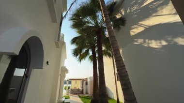 Bulutsuz bir günde Dubai 'de, deniz kenarında palmiye ağaçlarının arasında pahalı bir villanın dışında. Yavaş Hareket.