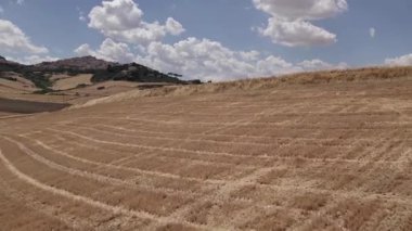 Göl kenarındaki tepelerdeki çiftlik arazilerinde insansız hava aracı. Bulutlu bir yaz günü. Hava Görünümü.
