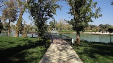Şehir gölünün kıyısındaki ağaçlar arasında yol boyunca yürü. Güneşli bir yaz günü. Yavaş Hareket