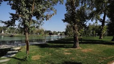 Şehir gölünün kıyısında ağaçlar ve çalılarla çevrili patikalar boyunca yürü. Güneşli bir yaz günü. Yavaş Hareket