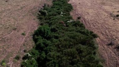 Sibari, İtalya yakınlarındaki tarlaların ve dağların üzerinde bir İHA. Bulutlu bir yaz günü. Hava Görünümü
