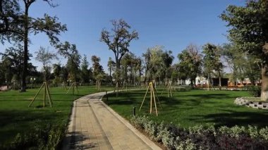 Şehir gölünün kıyısında ağaçlar ve çalılarla çevrili patikalar boyunca yürü. Güneşli bir yaz günü. Yavaş Hareket