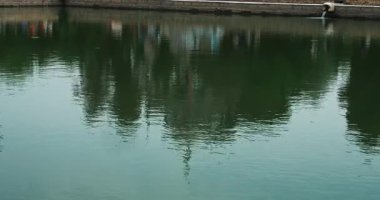 Eski kompleks emirlerin yazlık sitorai Mohi Xosa havzasındaki yansıma. Eski Buhara, Özbekistan.