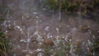 Yağmur çamur ve yerdeki su birikintilerine dökülür. Bulutlu bahar günü. Kapat..