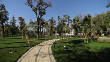 Şehir gölünün kıyısında ağaçlar ve çalılarla çevrili patikalar boyunca yürü. Güneşli bir yaz günü. Yavaş Hareket