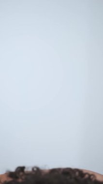 Kasvetli saçı ve parlak makyajı olan genç bir mankenin dikey portresi. Rujlu boya küpleri. Yavaş Çekim, Yakın Çekim. Stüdyo çekimi.