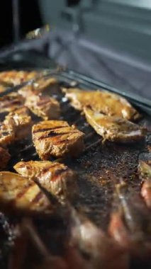 Mangal kömüründe ızgara et. Kapat, Yavaş Hareket