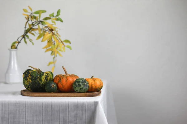 Vielfalt Dekorativen Kürbissen Herbstliche Zusammensetzung Verschiedener Kürbissorten Auf Dem Tisch — Stockfoto