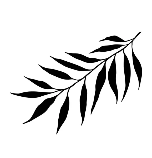 Květinové Palmové Listy Černé Siluety Krásné Vektorové Kresby Tropické Listy — Stockový vektor