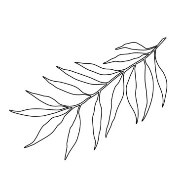 Floral Palm Tree Leaf Black Silhouette Outline Line Art Vector Drawing.Tropical leaves plant stencil shadow isolated on white background.Logo.Card.Print.Pattern.Sticker.Plotter laser cutting.DIY cut.