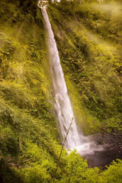 Stock image Salto El Leon Waterfall, Pucon, Chile, South America