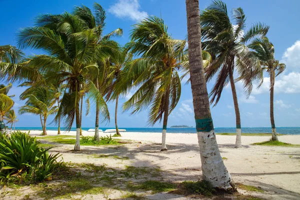 Hlavní Pláž Ostrov San Andrés Kolumbie Jižní Amerika — Stock fotografie