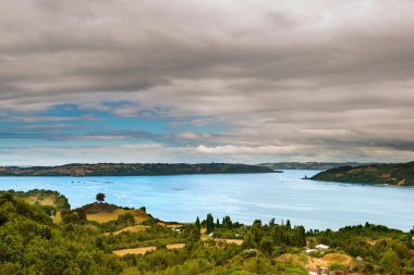 Kanal Dalcahue 'daki çayırlar, Chiloe Adası, Şili