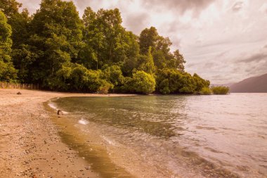 Şili 'nin Araucania bölgesindeki Caburga Gölü manzarası