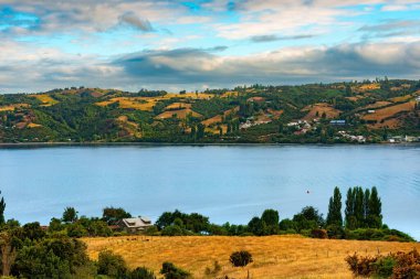 Kanal Dalcahue 'daki çayırlar, Chiloe Adası, Şili