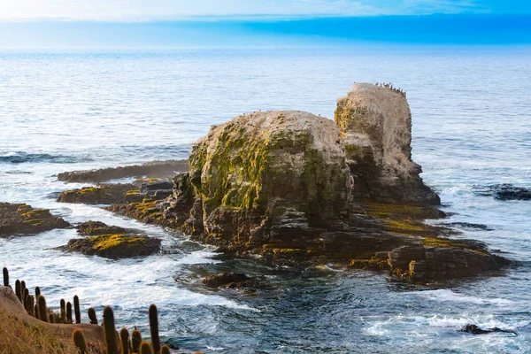 stock image Cliff in Punta de Lobos at Pichilemu, VI Region, Chile