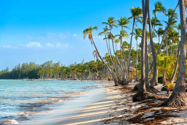 Pláž Bavaro Punta Cana Dominikánské Republice — Stock fotografie