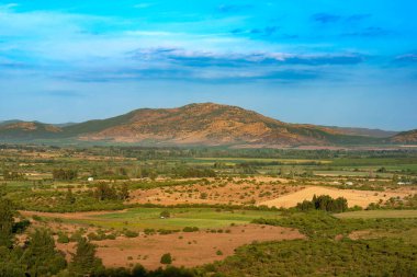 Güney Şili'deki Region del Maule'de ekin tarlaları ve çiftlikleri