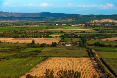 Güney Şili'deki Region del Maule'de ekin tarlaları ve çiftlikleri