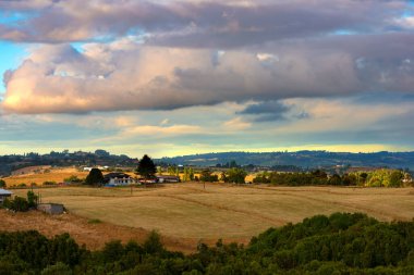 Chonchi, Chiloe Adası, Şili çevresindeki çayır manzarası