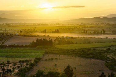 Güney Şili'deki Region del Maule'deki mahsul tarlalarında ve çiftliklerde şafak vakti