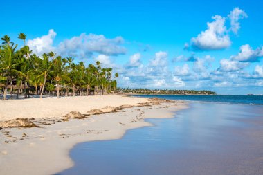 Punta Cana 'daki Bavaro Plajı Dominik Cumhuriyeti