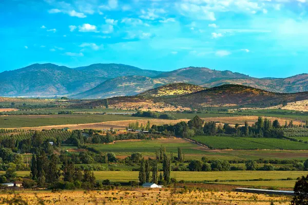Pola Uprawowe Gospodarstwa Rolne Regionie Del Maule Południowym Chile Zdjęcie Stockowe