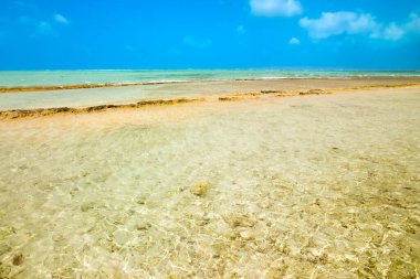 Kolombiya 'daki San Andres Adası kıyısındaki kristal berrak turkuaz suları ve mercan resifi.