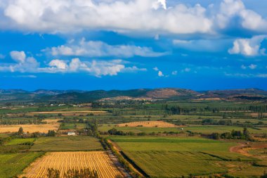 Güney Şili'deki Region del Maule'de ekin tarlaları ve çiftlikleri