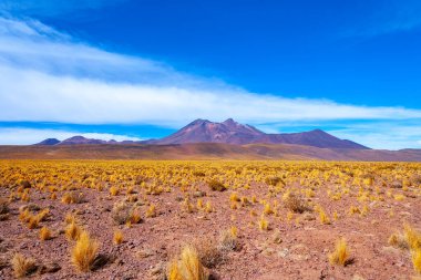 Altiplano 'daki Cerro Miniques (Miniques Tepesi) (Yüksek Andean Platosu), Los Flamencos Ulusal Rezervi, Atacama Çölü, Antofagasta Bölgesi, Güney Amerika