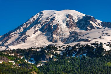 Cennet alan Rainier Dağı Milli Park, Washington State, ABD