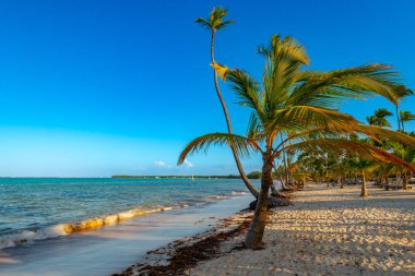 Punta Cana 'daki Bavaro Plajı Dominik Cumhuriyeti