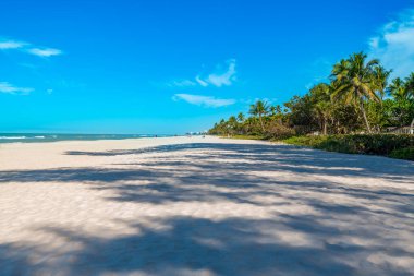 Napoli, Florida 'da sakin bir kumsalda yumuşak beyaz kumlar, kıyıya vuran hafif dalgalar ve sıcak güneş ışığında sallanan palmiye ağaçları bulunur.